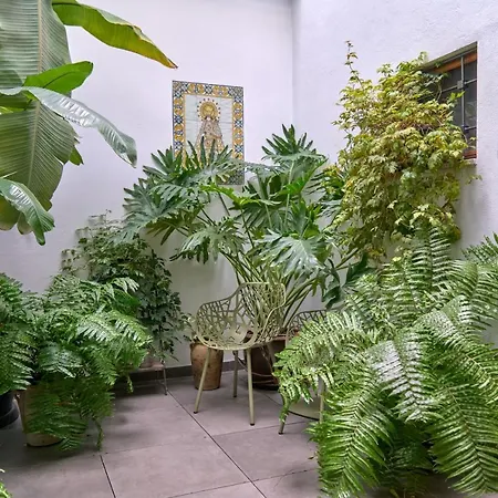 Barracart Lejlighedshotel Valencia