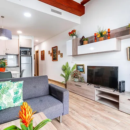 Flats Piera Center * Valencia