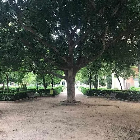 A123 Viviendaturisticavalencia Grandes Grupos * Valence