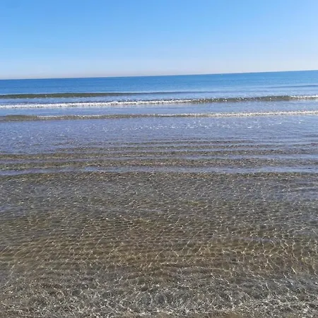 Fivestepstosea -