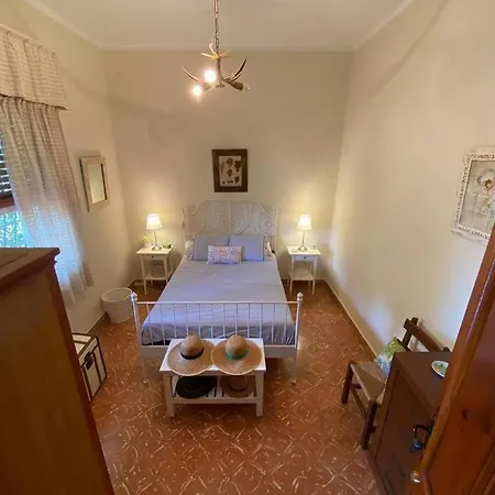 Holiday home Huerto Valenciano - Sol Y Tranquilidad - Piscina *