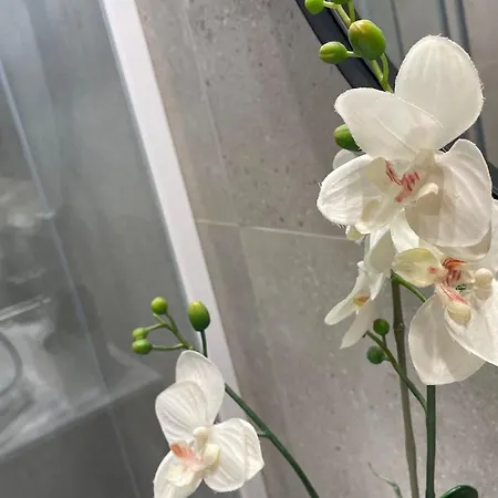 Singularstays Mar44 Appartamento