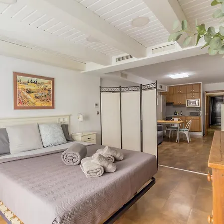 アパート Loft Con Terraza Centro バレンシア