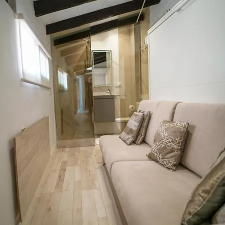 Atico Con Terraza Y Jacuzzi En El Centro * Valence