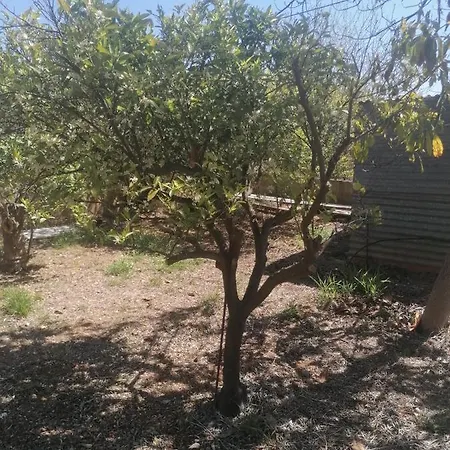 Casa Mans Albalat/sagunto Holiday home Valencia