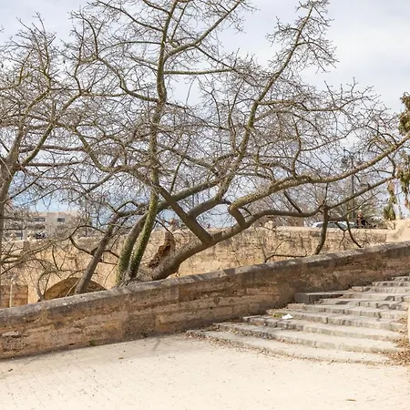 Travel Habitat Benimaclet Vista Hermosa Apartament *