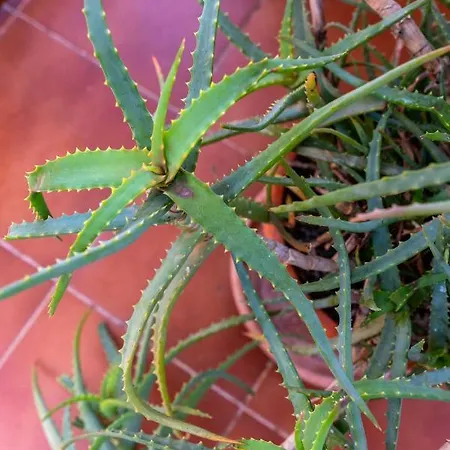 Grand - 8 Min To Center By Metro * Valence