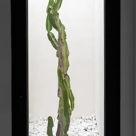 Maison Avec Piscine A