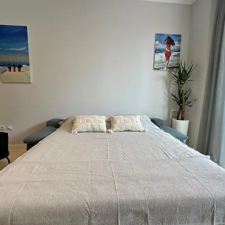 Reinapart Patacona 36 Valencia