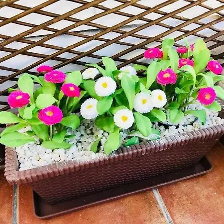 Reus, Lovely Flat Close To Center *