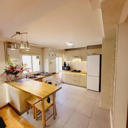 Pintor 31 Appartement