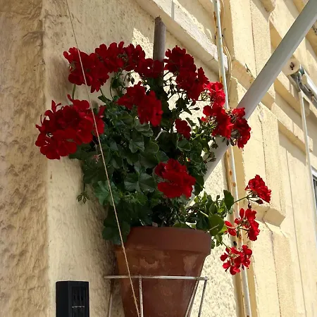 Homestay Studio Valencia