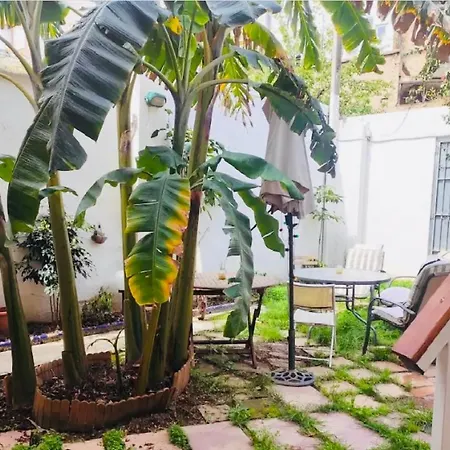 Doble En Ruzafa Con Bano Privado Homestay *