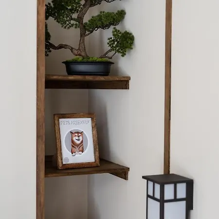 Appartement Le Japonais De Coup De Coeur