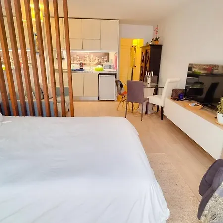 Loft Con Encanto Centro