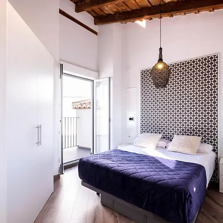 Spacious Penthouse With Massive Terrace Valence