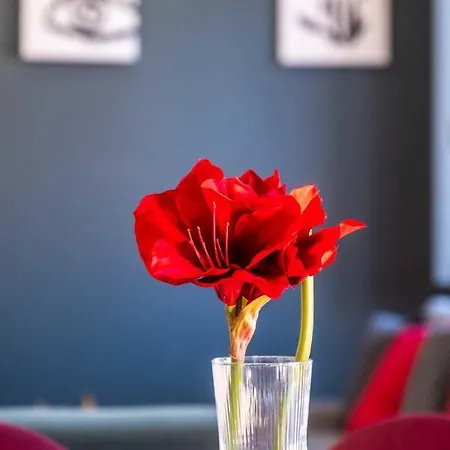 Spacious Penthouse With Massive Terrace * Valence