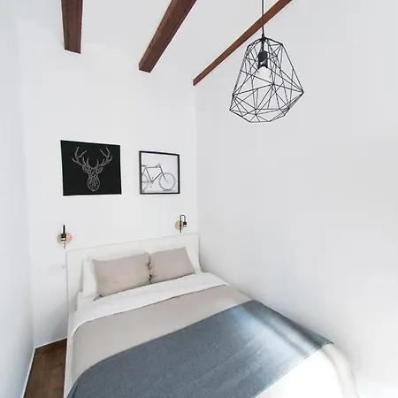 Apartment Beautiful In Botanic *