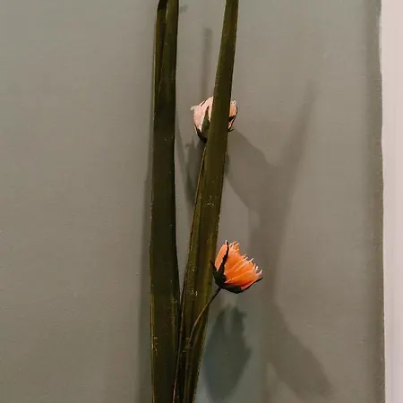 Apartament La Peregrina