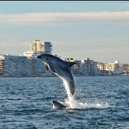 Adosado En La Playa De El Perellonet Con Piscina, Pista Tenis *