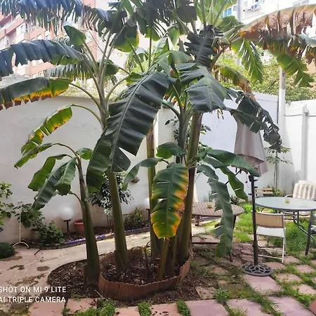 Apartment Cozy En Ruzafa 2-4 Personas Con Aire Acondicionado Y Salida Directa A Terraza Valencia