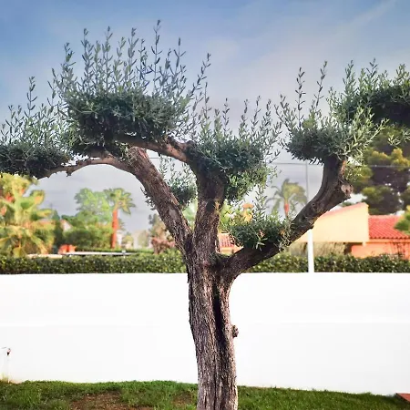 Villa Casa Con Piscina, Jardín Y Aire Acondicionado Cerca De Valencia En La Eliana-l'eliana *