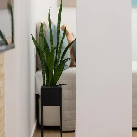 Vlc Host- Fray Pedro Apartamento *