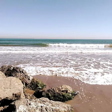 Junto Al Oceanográfic