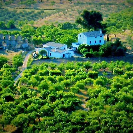 El Pino B & B, Chera * Walencja