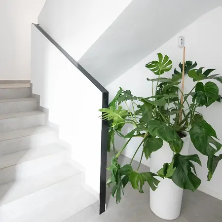 Nueva Cerca De Playa Con Cocina Y Wc Compartido, Terraza Y Zonas Comunes Maison d'hôtes