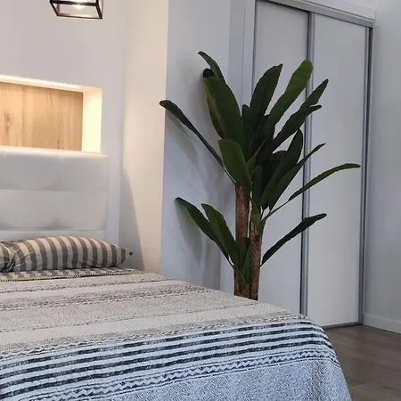 Estudio Diseno Cerca Ciudad Ciencias Vt-55211-v * فالنسيا