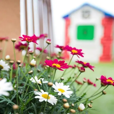 Apartment Family Century House With Terrace And Parking Valencia