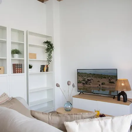 Apartamento Singularstays Vivons *