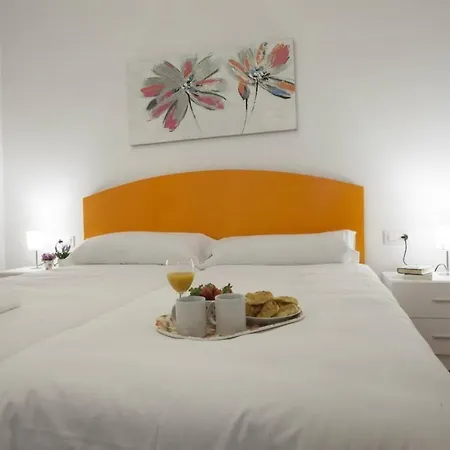 Singularstays Seu V *