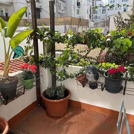 Apartmán Ruzafa Centro Ii Valencie