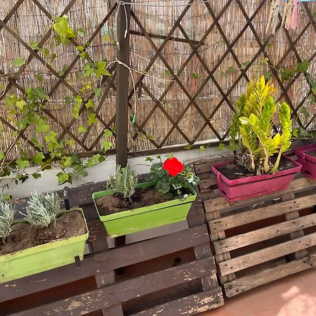 Daire Ruzafa Centro Ii Valensiya