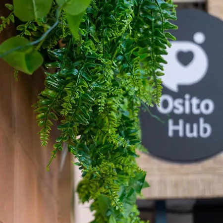 Design & Osito Hub A *