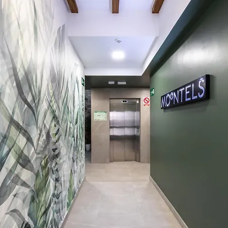 Moontels Plaza De Vannes Appartement *