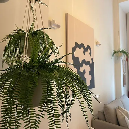 Natural Loft Osito Hub A