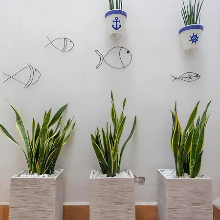 アパート Puerto バレンシア