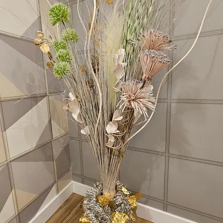 Lounge Garden Sea Relax