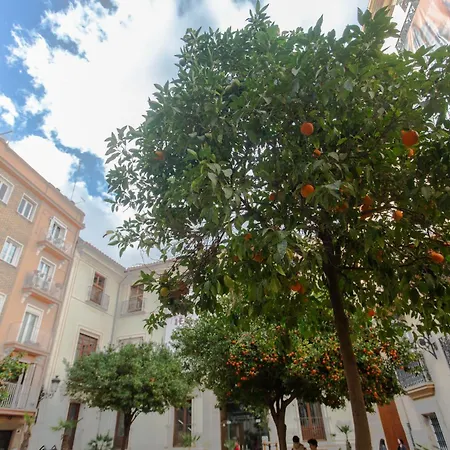 Apartamento Tranquilo Apartamento Centrico En Plaza Cisneros