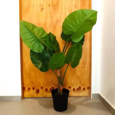 Acogedor Loft En Valencia_ Calamochaa Valence