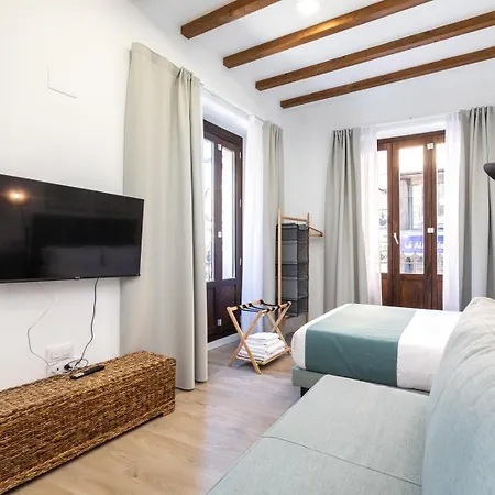 Апартаменты Moontels Plaza De Vannes Валенсия