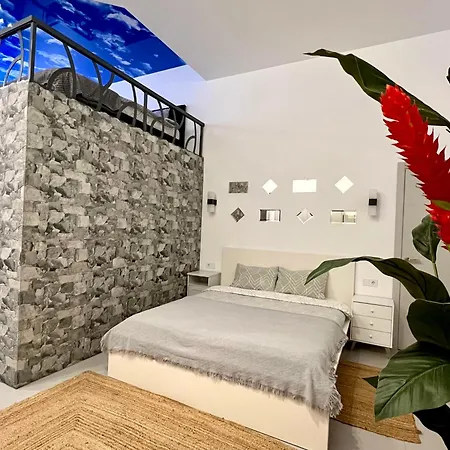 Exquisite With An Original Design Apartment Valencia