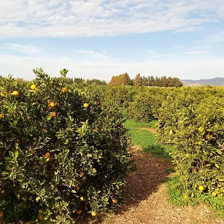 Apartamento Mediterraneo Tranquilo Y Familiar ולנסיה