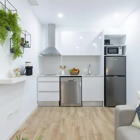 Dormforyou Arena Standard