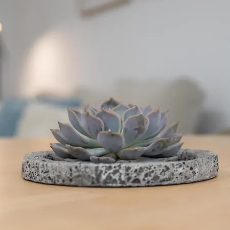 Appartement Cid 90 Flat By Concept *