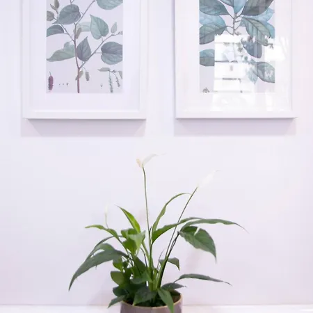 Viveros By Concept Flats * Walencja