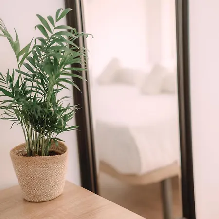 Casa de hóspedes Concept